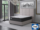 Sealy EverBright 14.5” Pillow Top Twin Mattress (M2723-03)